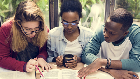 Case study: Using a value added metric and an inclusive curriculum framework to address the black and minority ethnic attainment gap