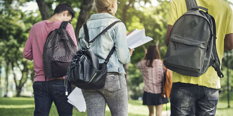 The backs of three students walking through park