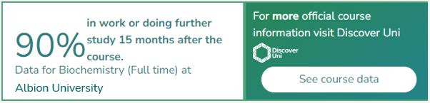 Another similar widget, except that the headline reads "90% in work or doing further study 15 months after the course".