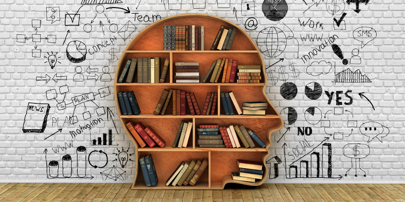 Bookcase in the shape of a head